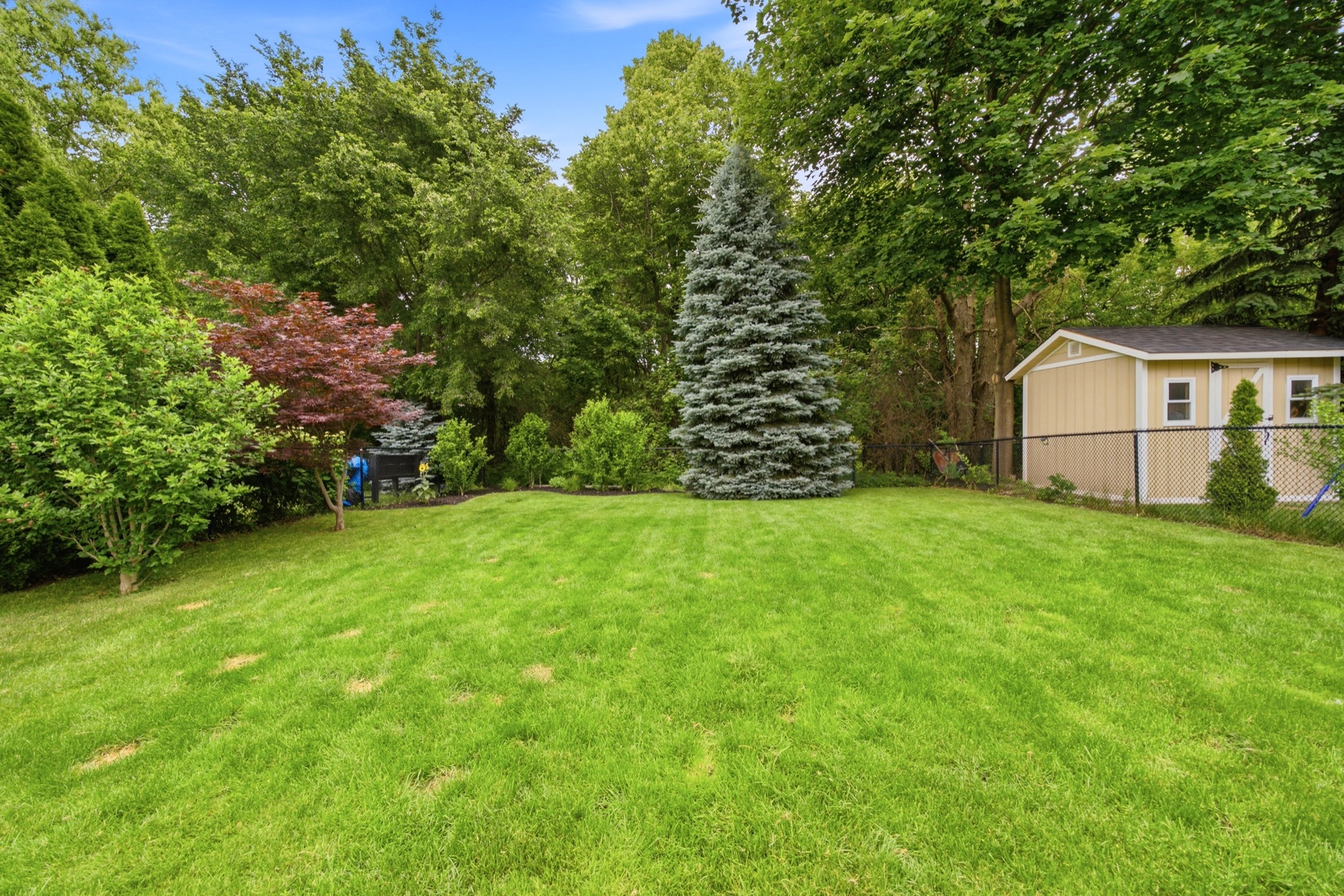 Backyard of 7287 Waldorf Way showing mature trees and open lawn